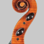 Tête violoncelle Peter Rombouts par Victor Chalons