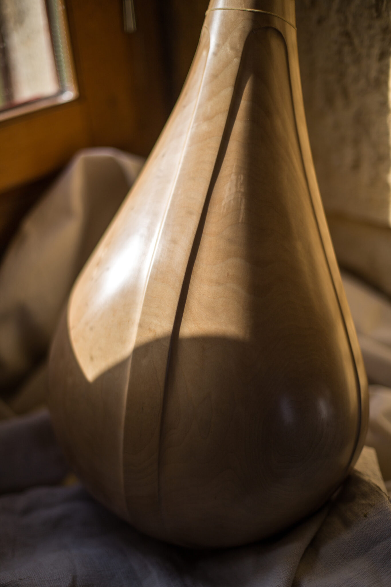 Guiterne 2019 - détail dos