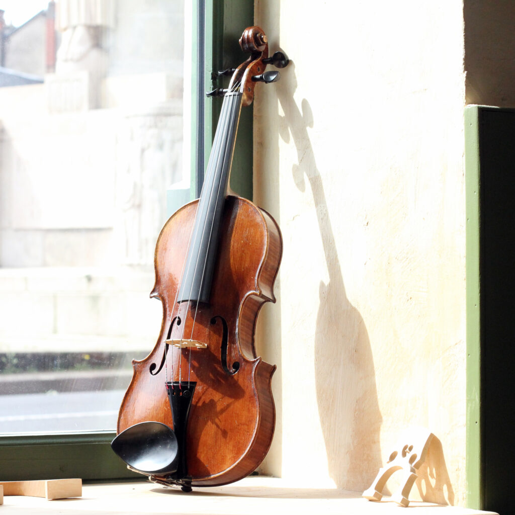 violon libeccio 26